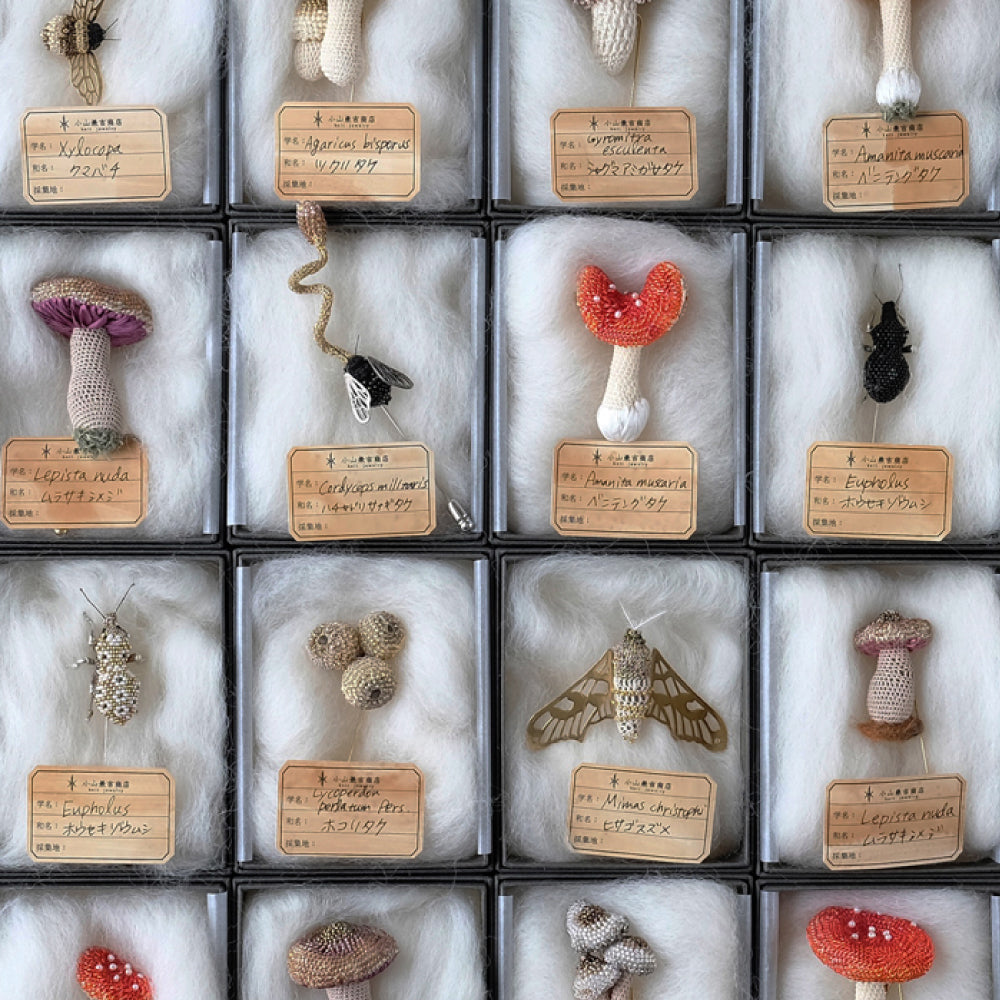 GINZA】FEELSEENで”アートなきのこ狩り”しませんか？