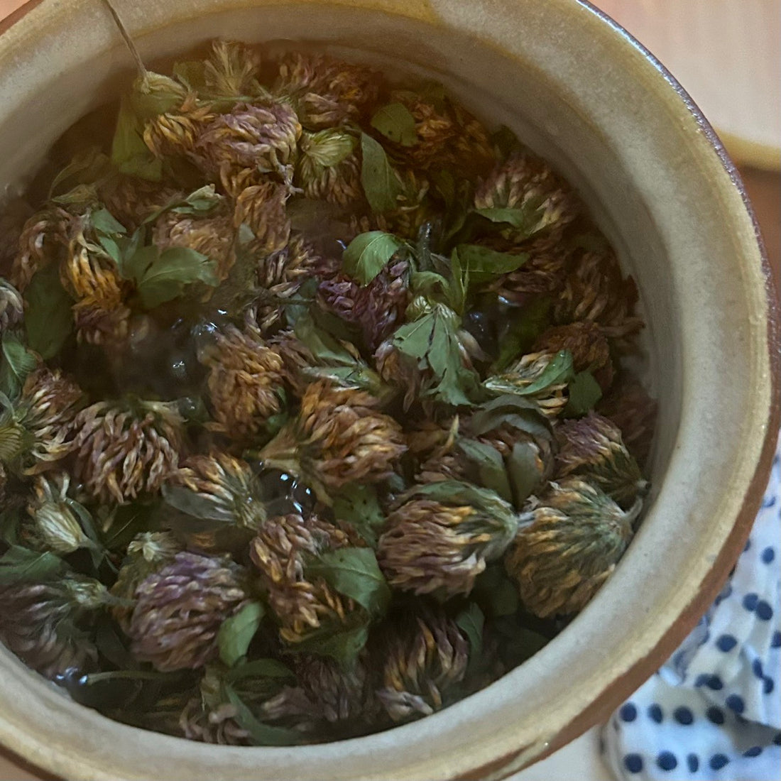 【GINZA】雑草研究所のお茶会&お香を作ってみる会のワークショップ 2023年10月28日(土)・29日(日)