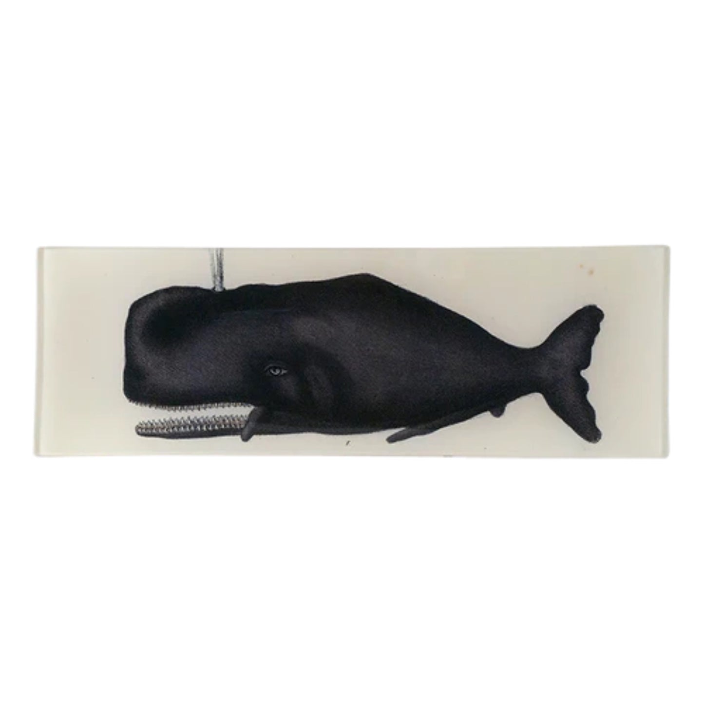 【JOHN DERIAN】デコパージュプレート Sperm Whale_4XT