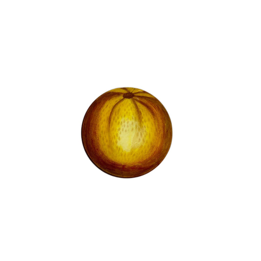 【JOHN DERIAN】デコパージュプレート Squash G