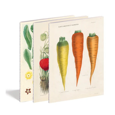 【JOHN DERIAN】Kitchen Delight NOTEBOOK SET