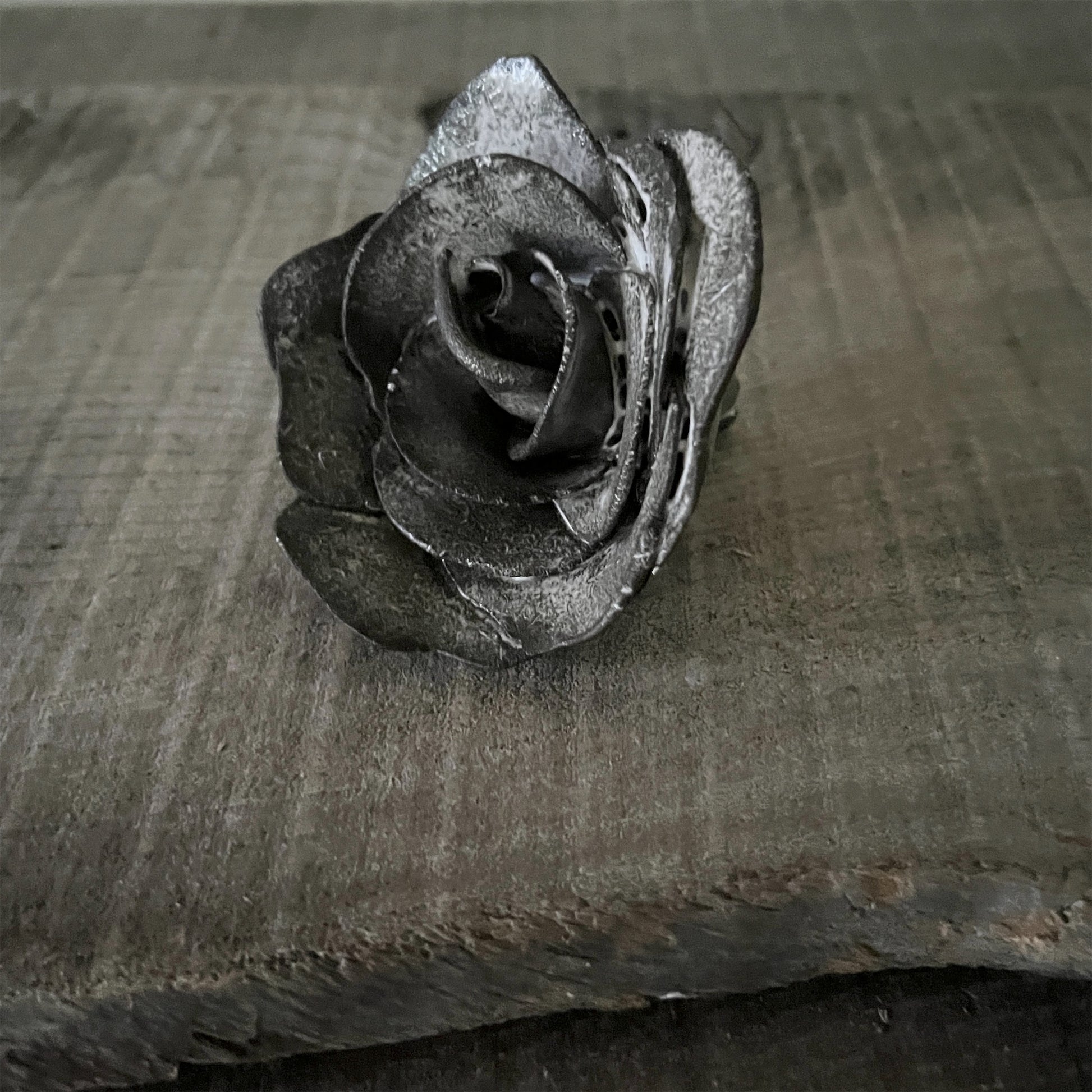 【 Valerie Casado】オブジェ Roses_Noir-1