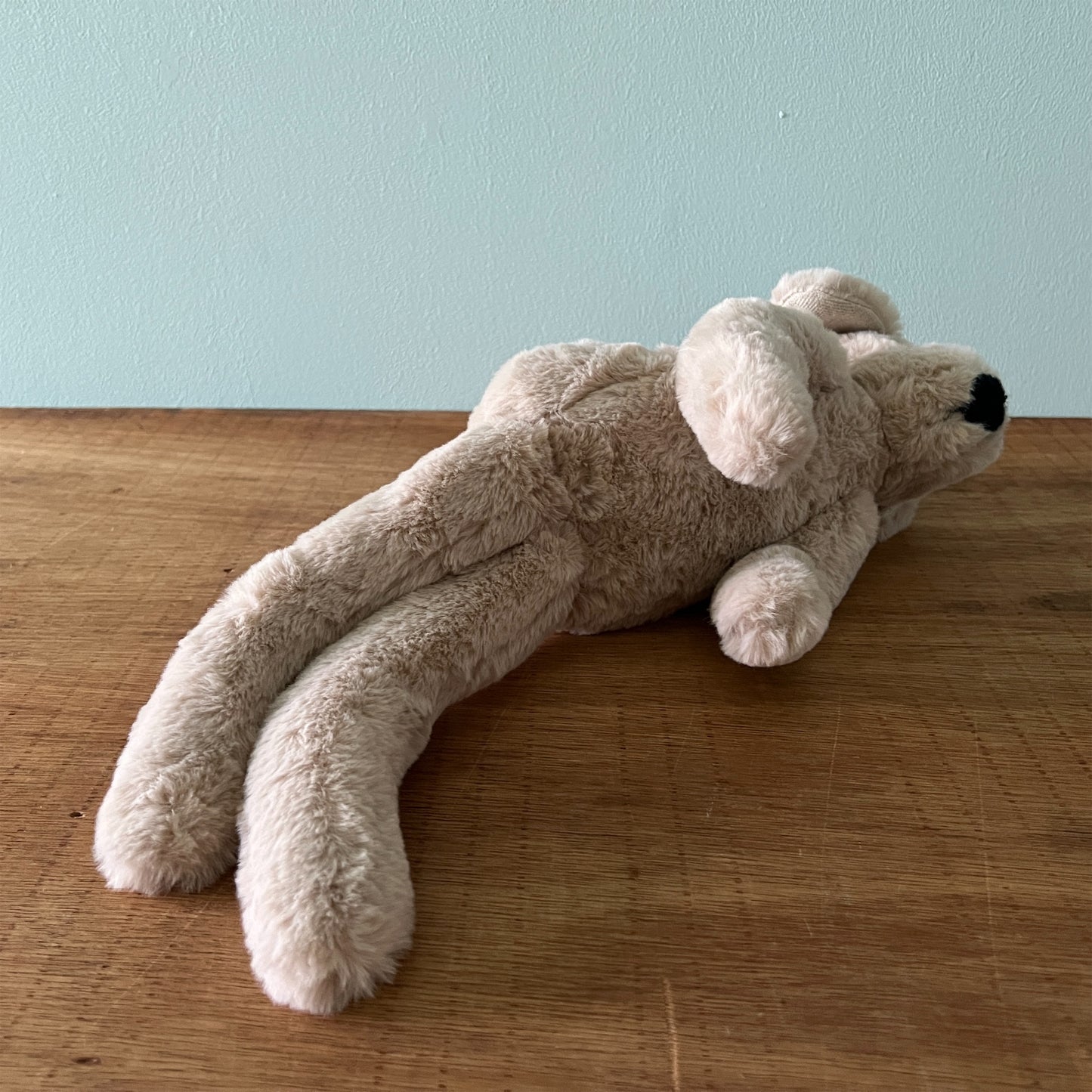 【AYUKO HAZU】Dog M 5