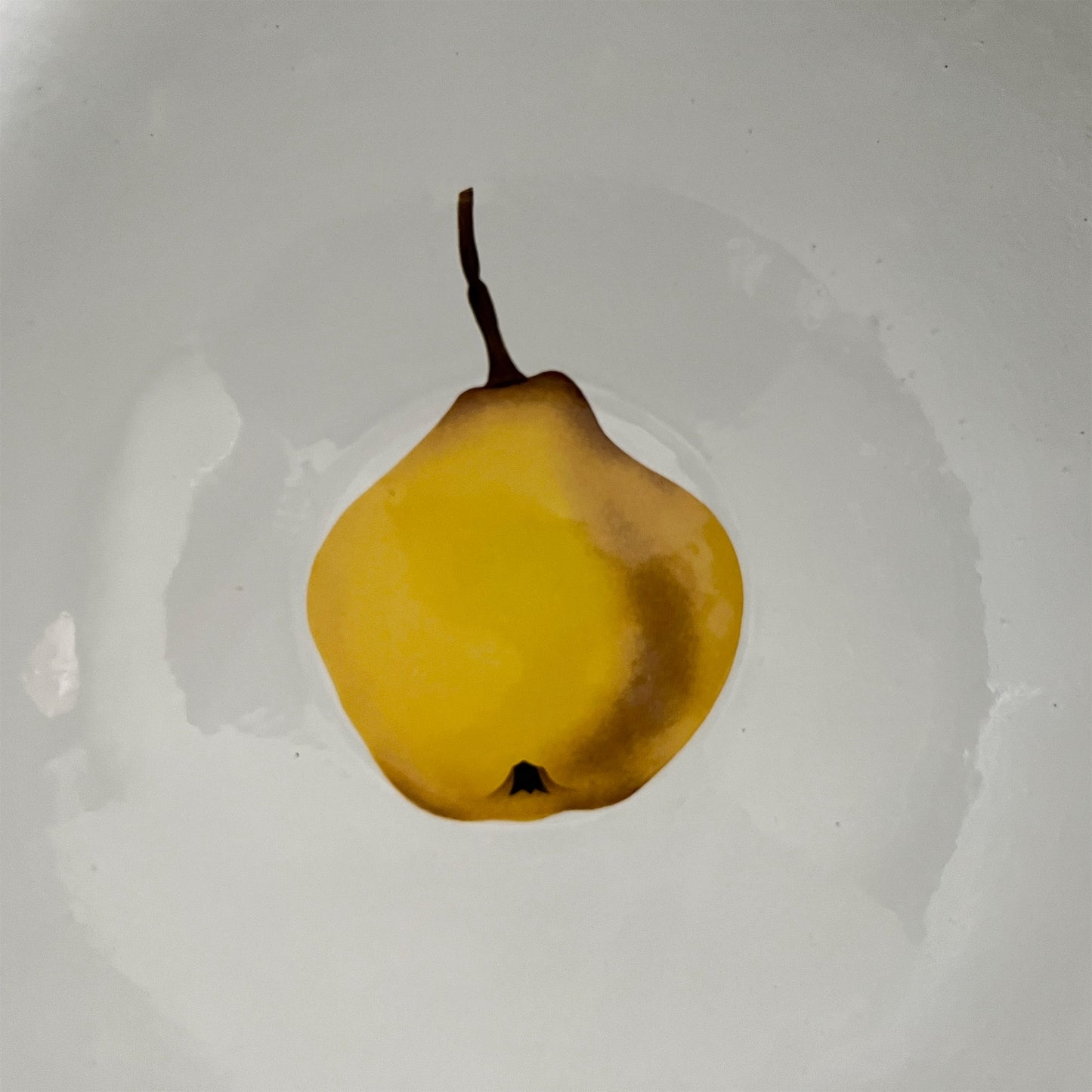 【Astier de Villatte】Champion Quince Salad Bowl