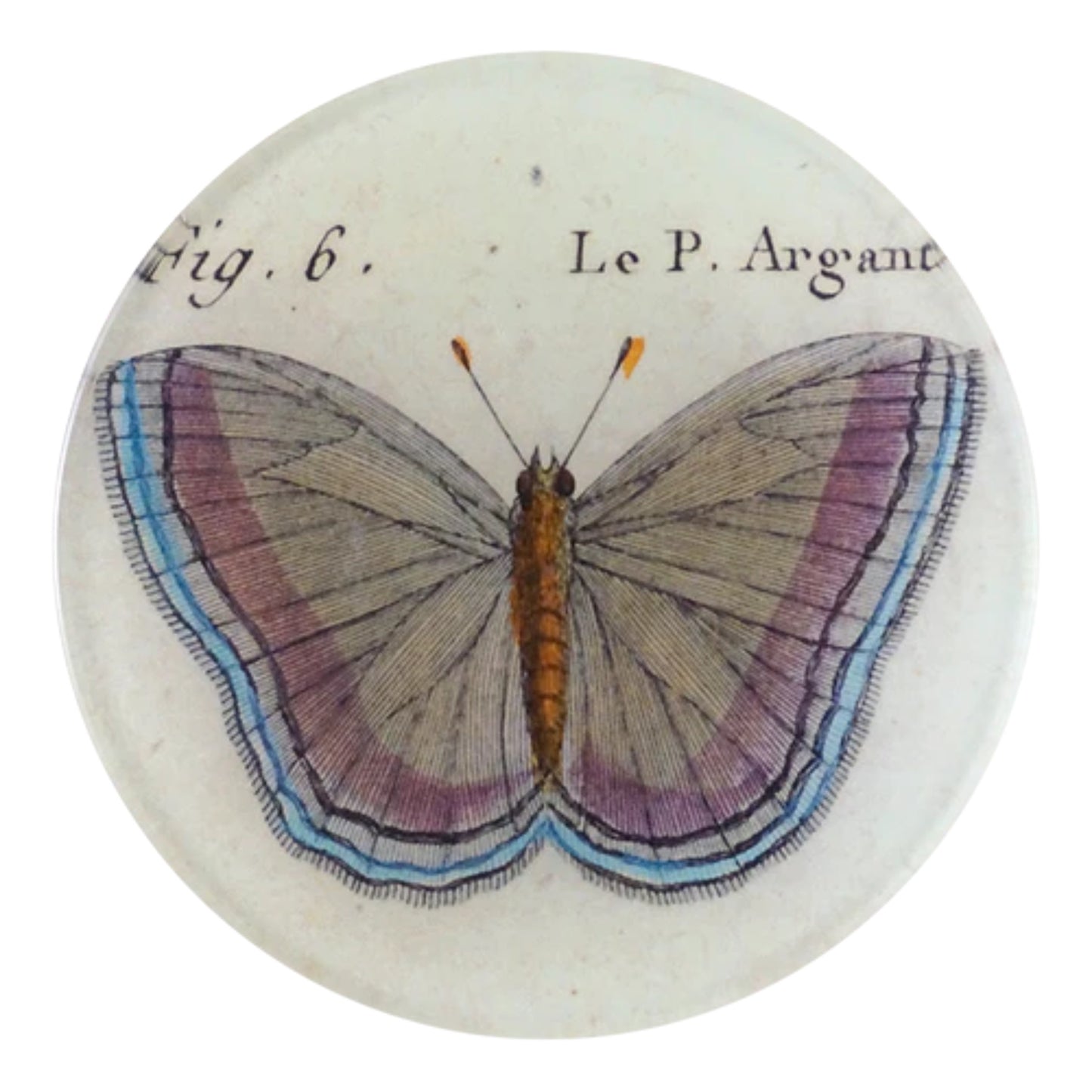 【JOHN DERIAN】デコパージュプレート Fig. 6 Argante Butterfly_4R