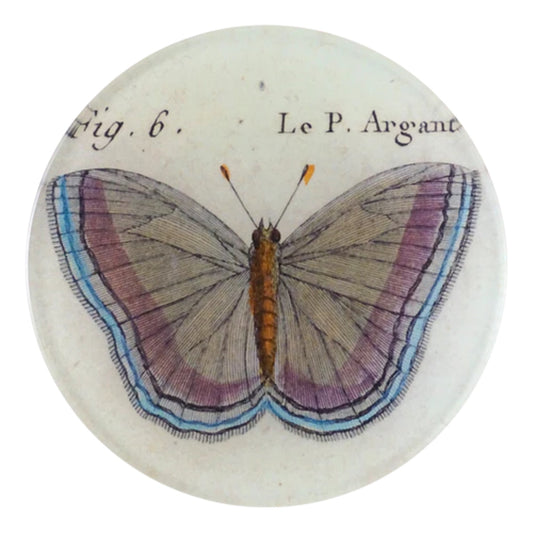 【JOHN DERIAN】デコパージュプレート Fig. 6 Argante Butterfly_4R