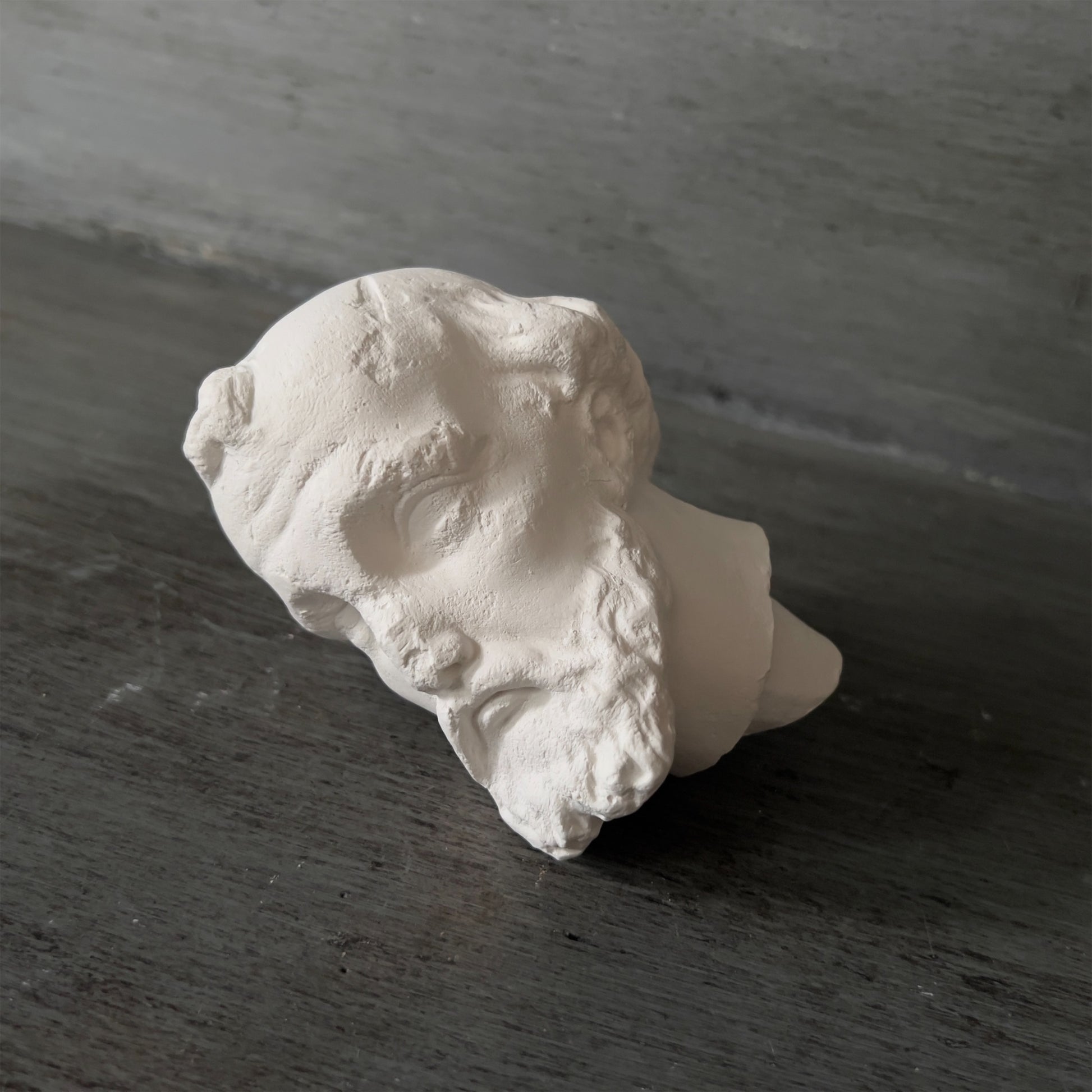 【La Soufflerie】石こうオブジェ Moine Head