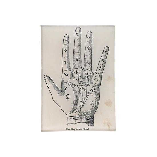 【JOHN DERIAN】デコパージュプレート The Map of the Hand