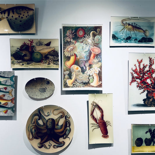 【JOHN DERIAN】デコパージュプレート Turtle