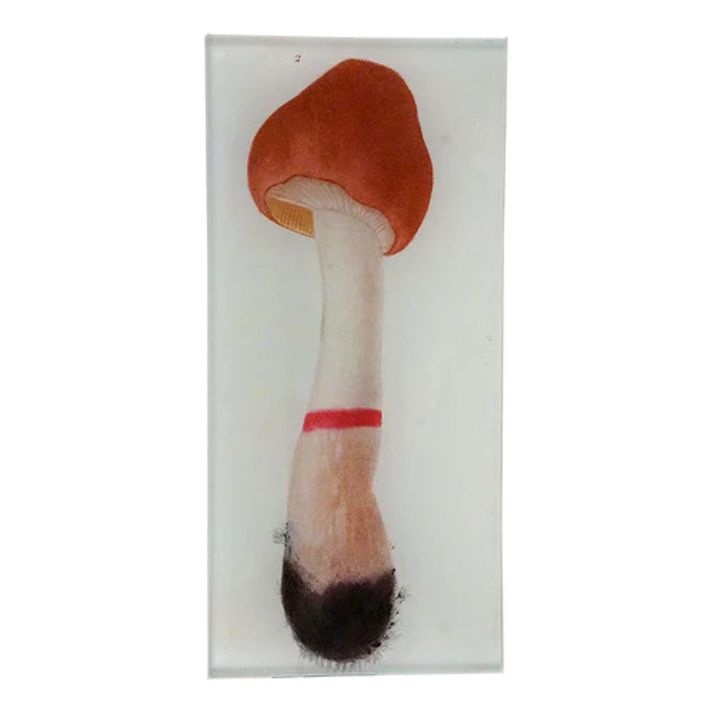 【JOHN DERIAN】デコパージュプレート Mushroom Fig. 2_3T