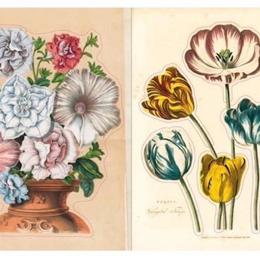 【JOHN DERIAN】ステッカーブック Sticker Book