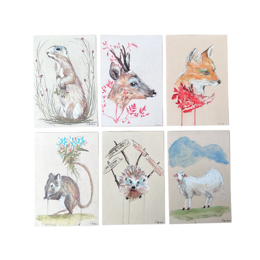 【Edi Dubien】ポストカード vol.3 動物