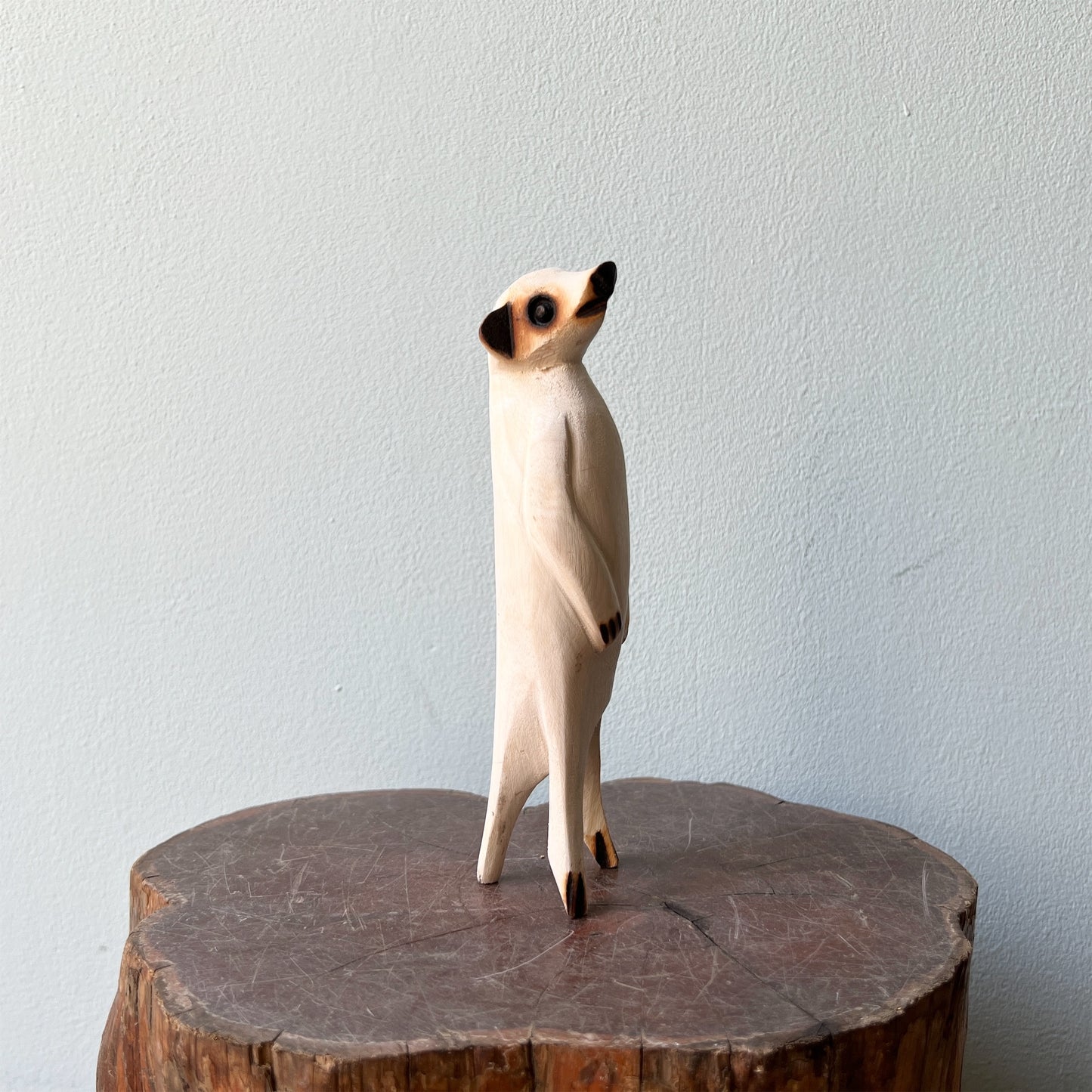 【mahatsara】ミーアキャットS