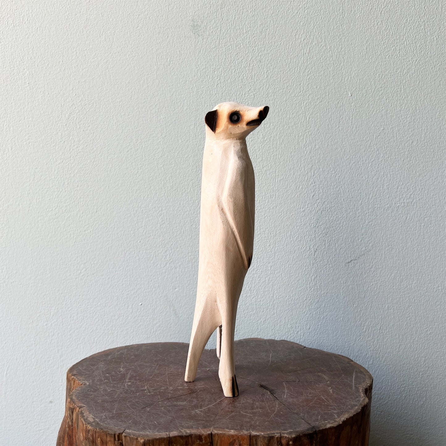 【mahatsara】ミーアキャットM