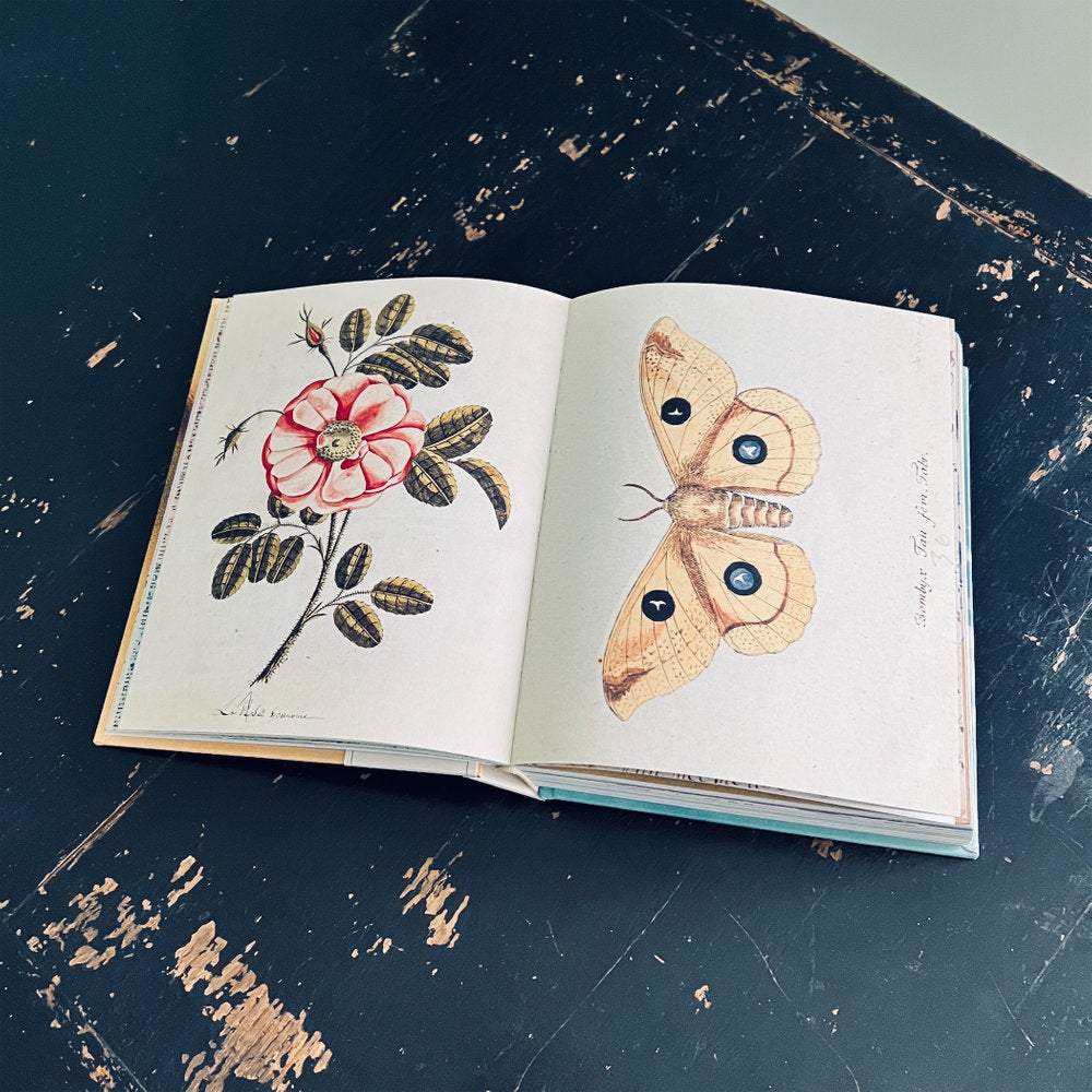 【JOHN DERIAN】ステッカーブック Sticker Book