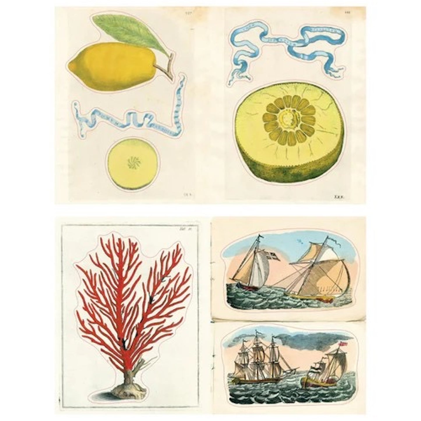 【JOHN DERIAN】ステッカーブック Sticker Book II