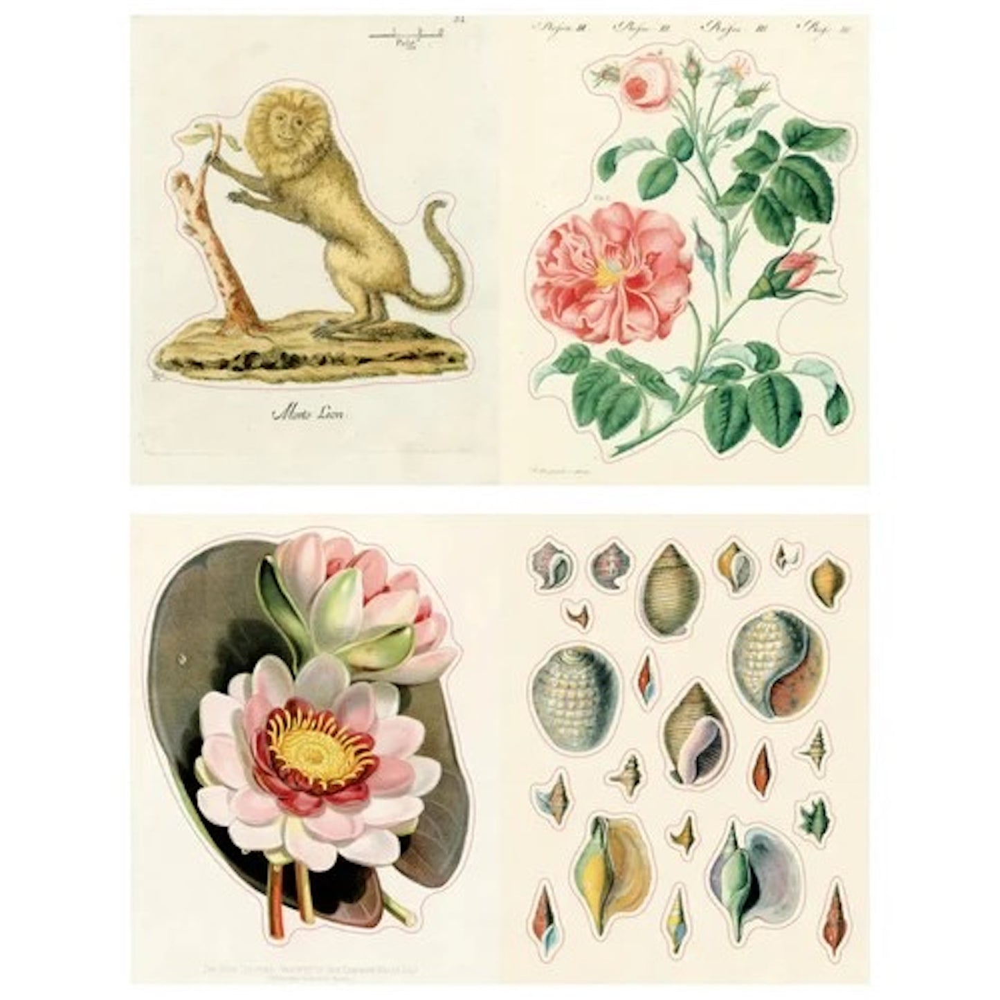 【JOHN DERIAN】ステッカーブック Sticker Book II