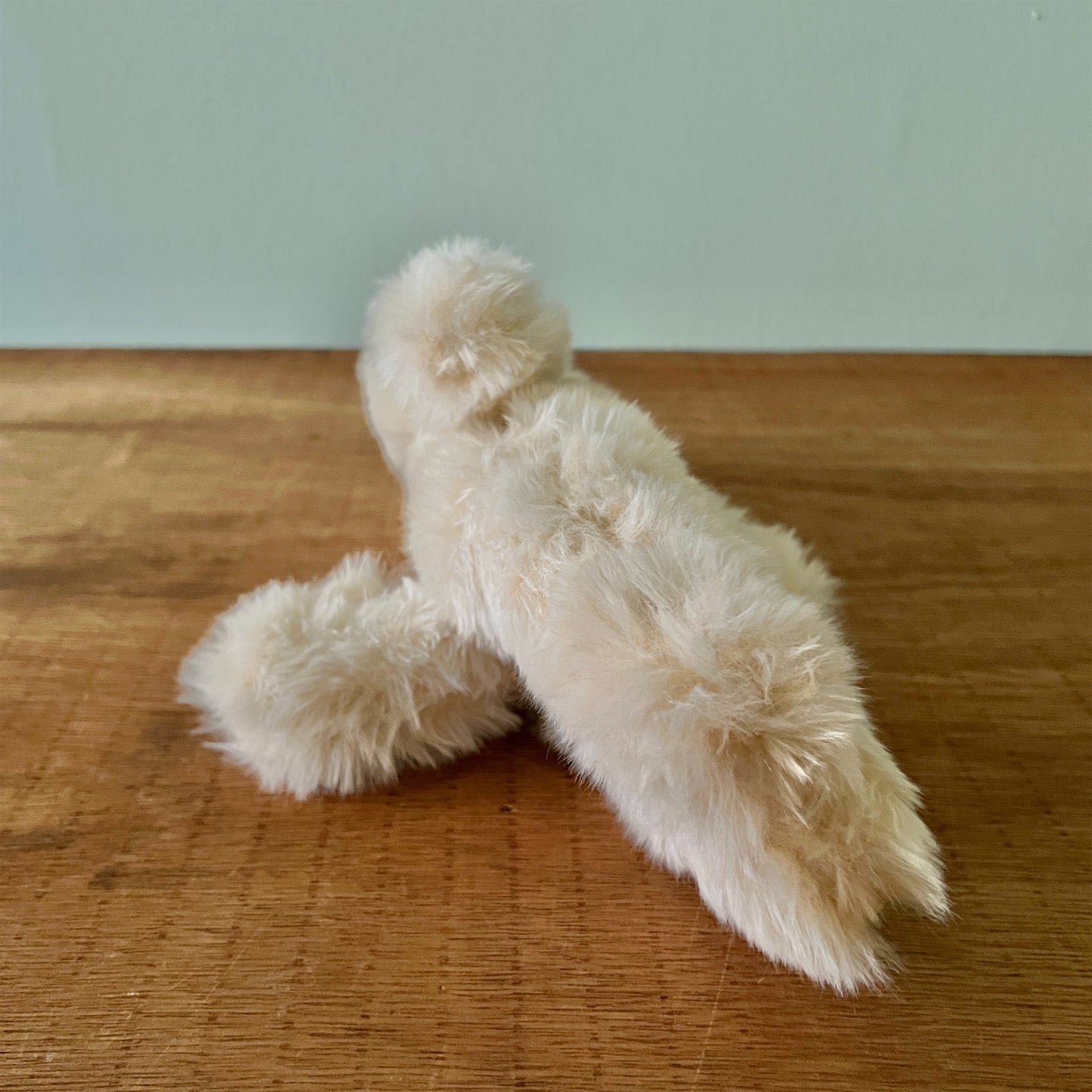 【AYUKO HAZU】Cat T 6