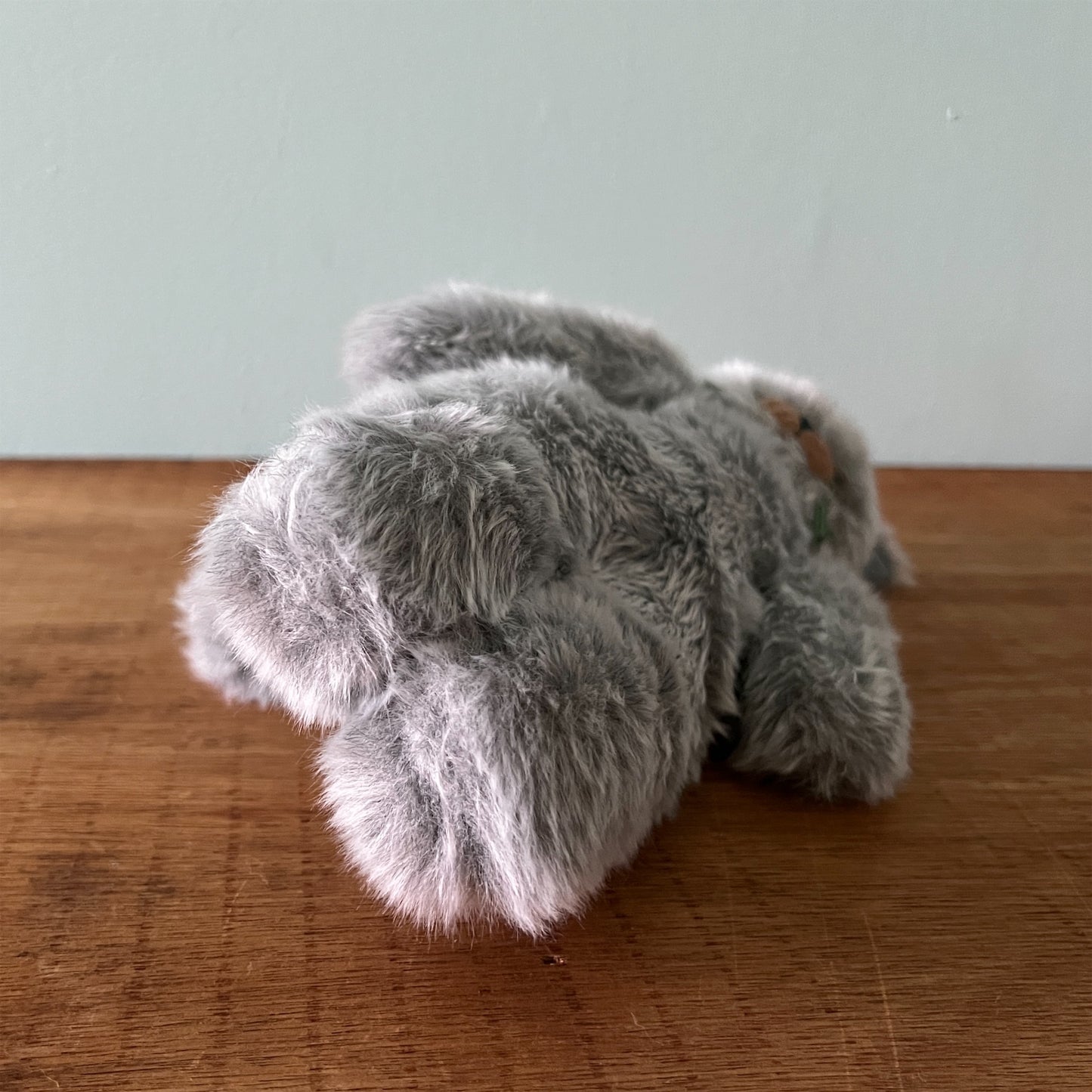 【AYUKO HAZU】Cat T 7