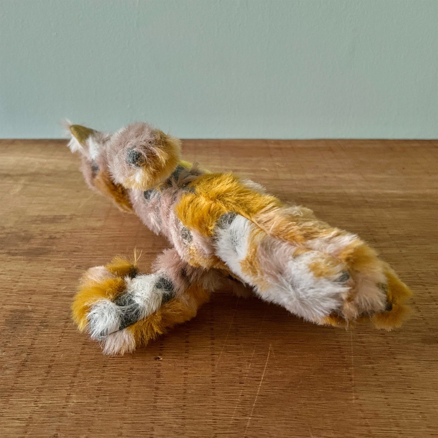 【AYUKO HAZU】Cat T 4