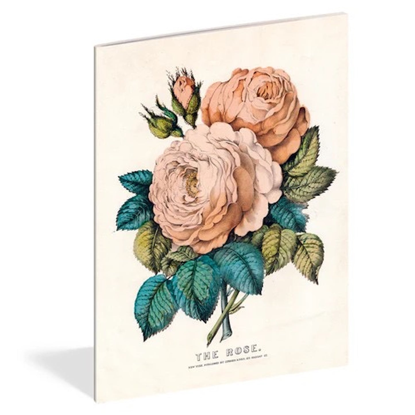 【JOHN DERIAN】EVERYTHING ROSES NOTEBOOK SET