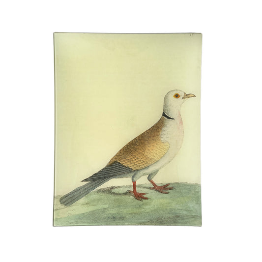 【JOHN DERIAN】デコパージュプレート #6 - Turtle Dove