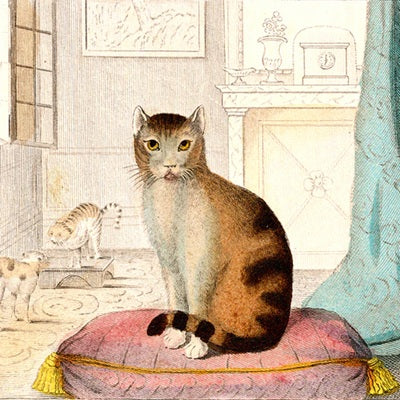 【JOHN DERIAN】シルクスカーフ Calm Cat Silk Scarf