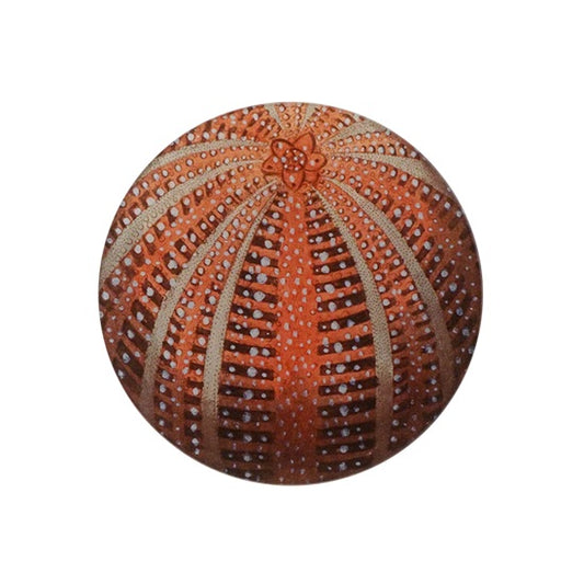 【JOHN DERIAN】デコパージュプレート Red Sea Urchin