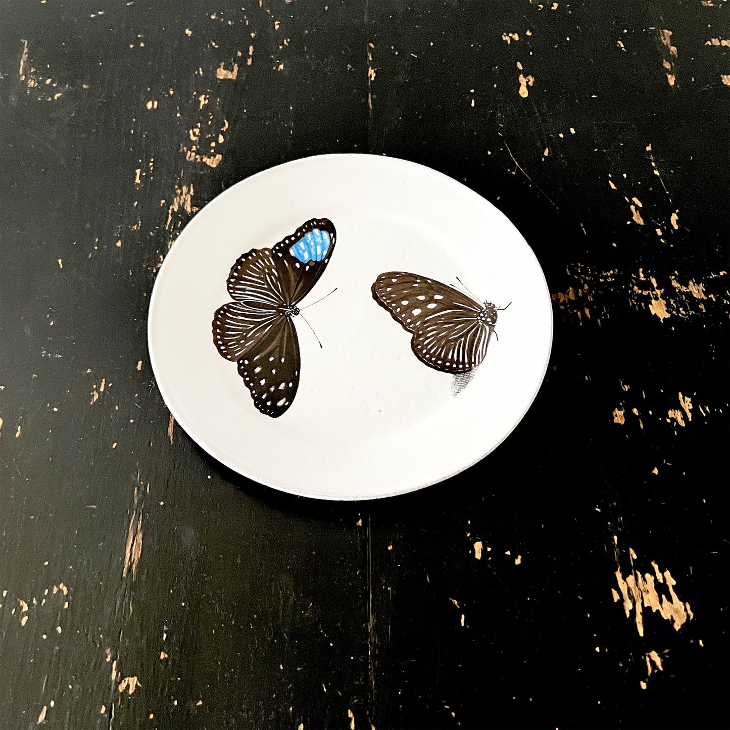 【Astier de Villatte】John Flying-Landed Butterfly プレート