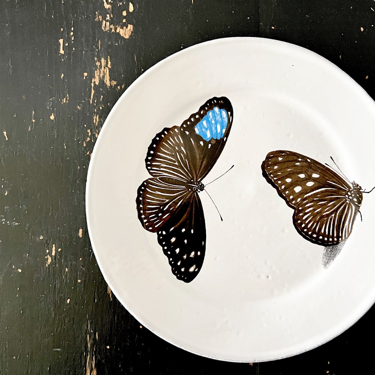 【Astier de Villatte】John Flying-Landed Butterfly プレート