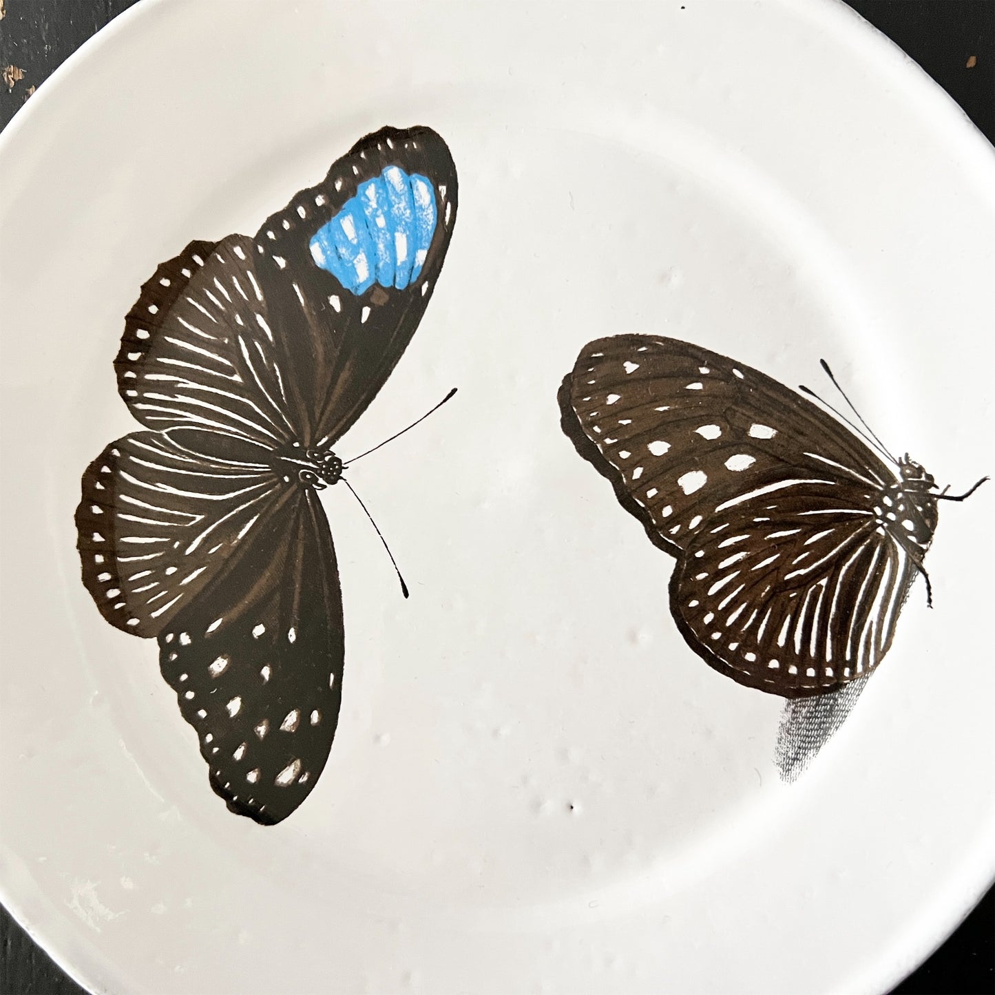 【Astier de Villatte】John Flying-Landed Butterfly プレート