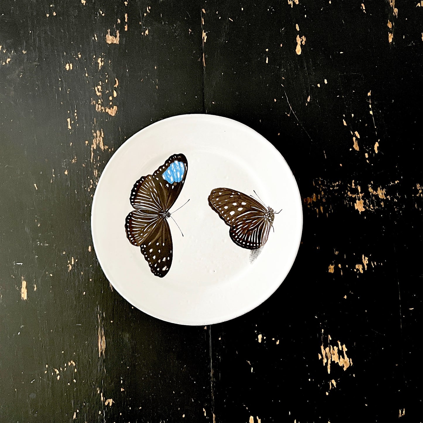 【Astier de Villatte】John Flying-Landed Butterfly プレート