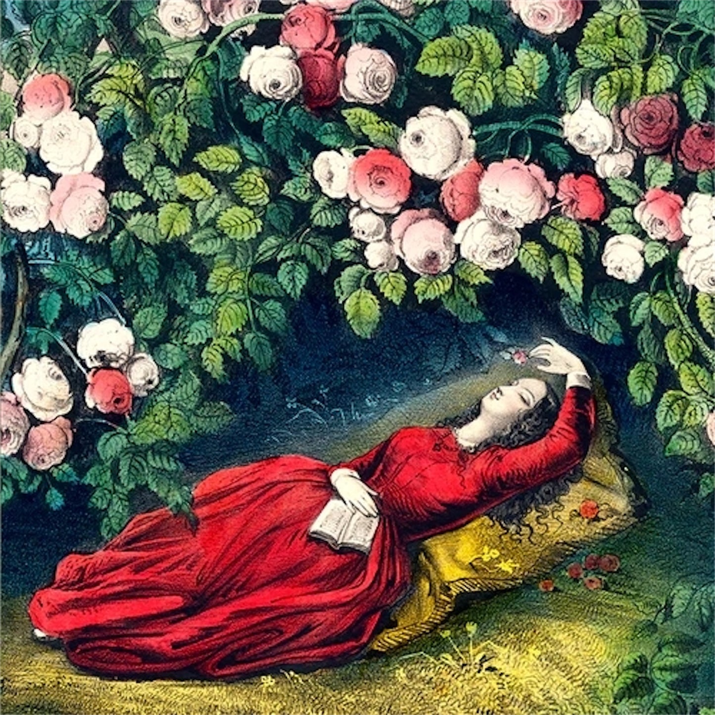 【JOHN DERIAN】シルクスカーフ Sleeping Beauty Silk Scarf
