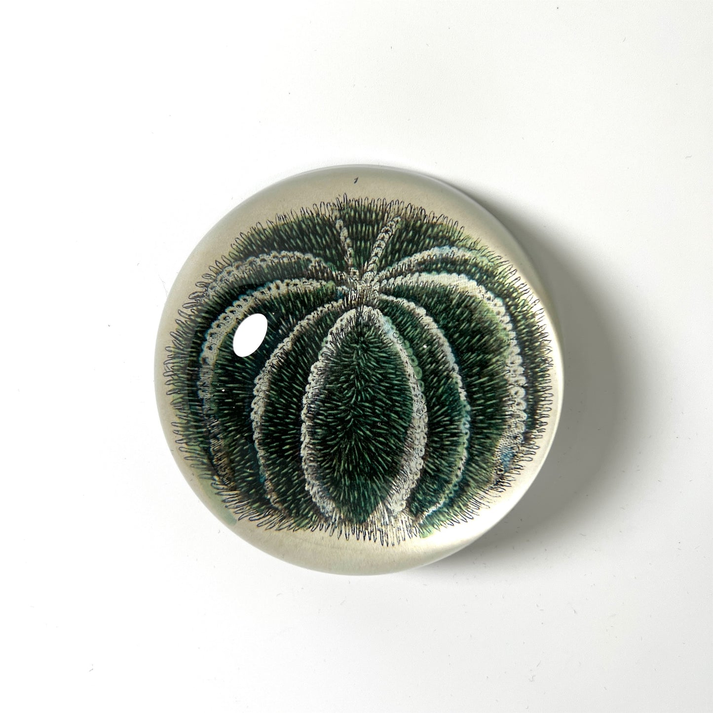 【JOHN DERIAN】デコパージュペーパーウェイト Blue Sea Urchin