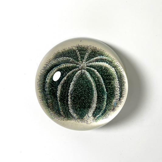 【JOHN DERIAN】デコパージュペーパーウェイト Blue Sea Urchin