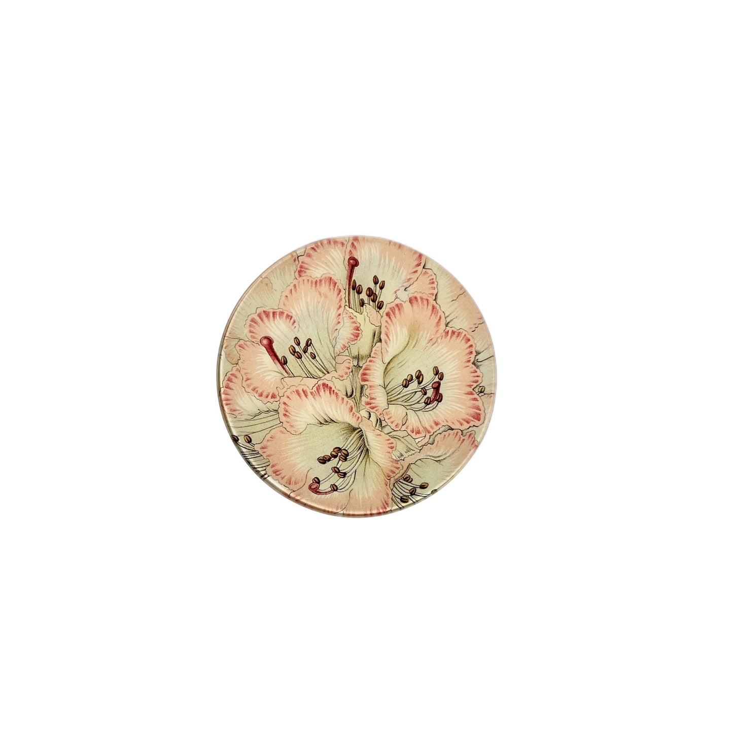 【JOHN DERIAN】デコパージュプレート Cinnamon Campanulatum Rhododendron