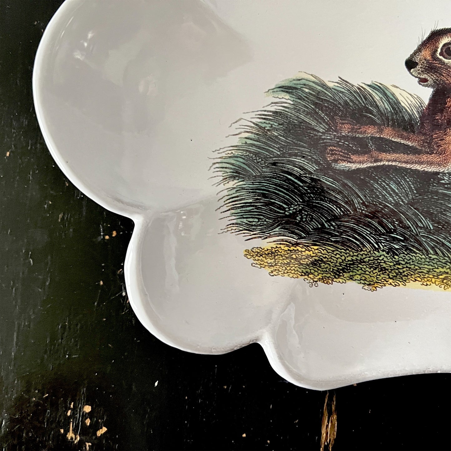 【Astier de Villatte】John Jumping Rabbit プレート