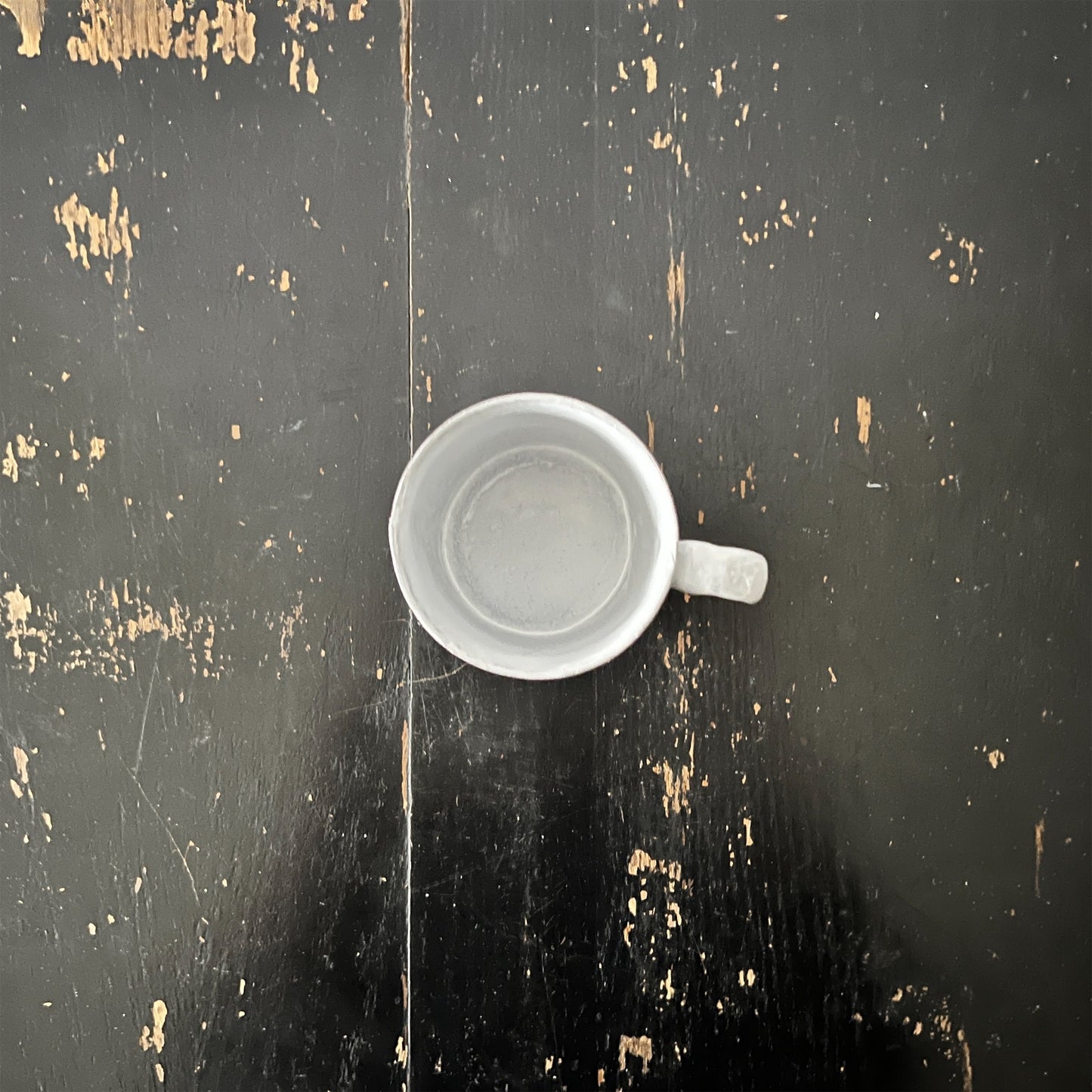 【Astier de Villatte】Small Adonis Blue Butterfly マグ