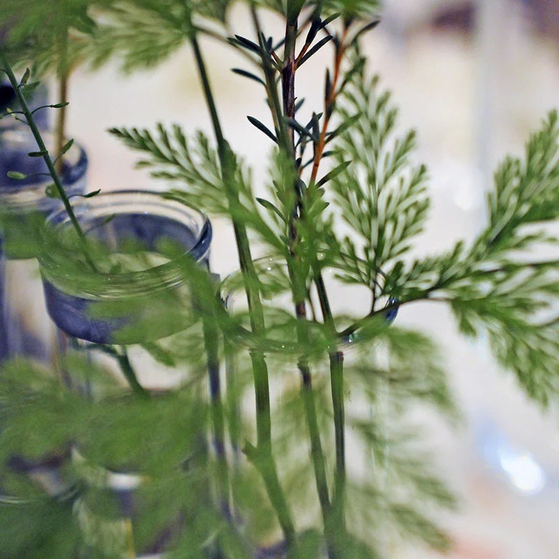 【Tse & Tse associees】四月の花器 APRIL VASE