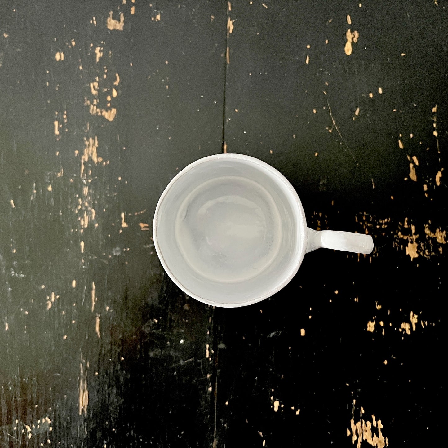 【Astier de Villatte】John 4 leaves Clover マグ