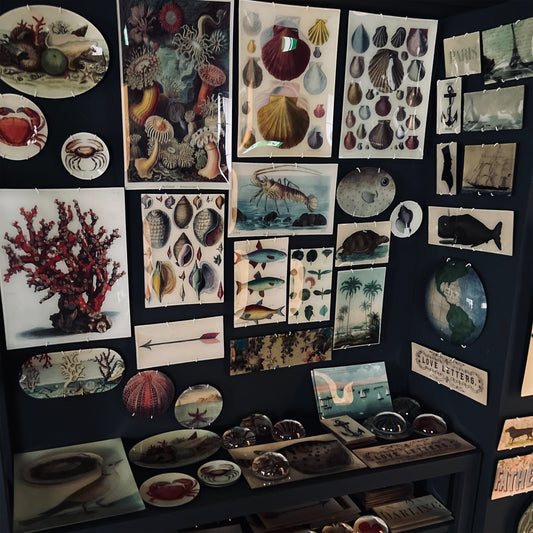 【JOHN DERIAN】デコパージュペーパーウェイト Brown Seaplant