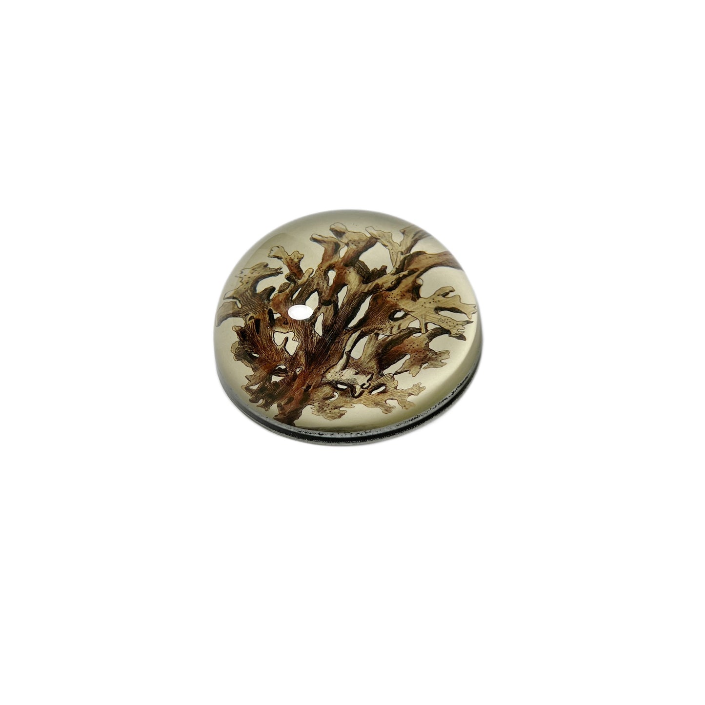 【JOHN DERIAN】デコパージュペーパーウェイト Brown Seaplant