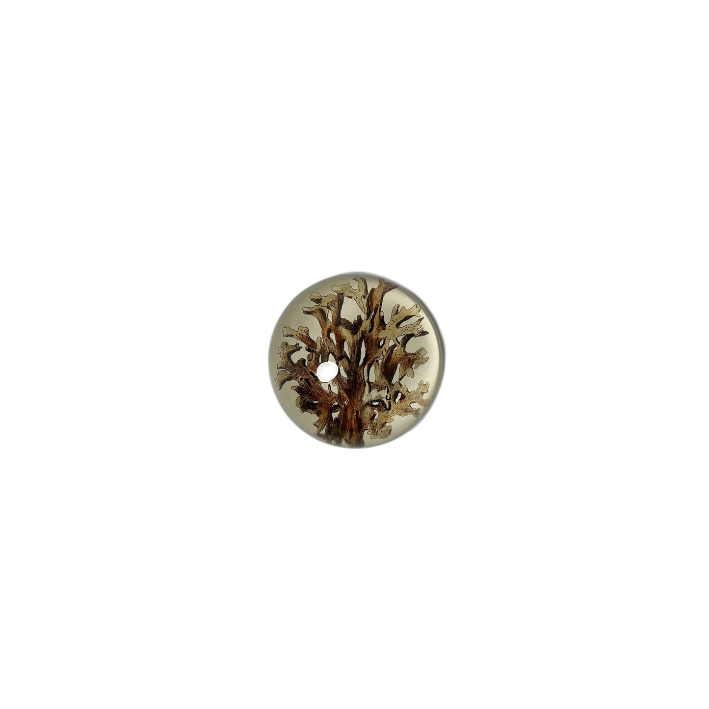 【JOHN DERIAN】デコパージュペーパーウェイト Brown Seaplant