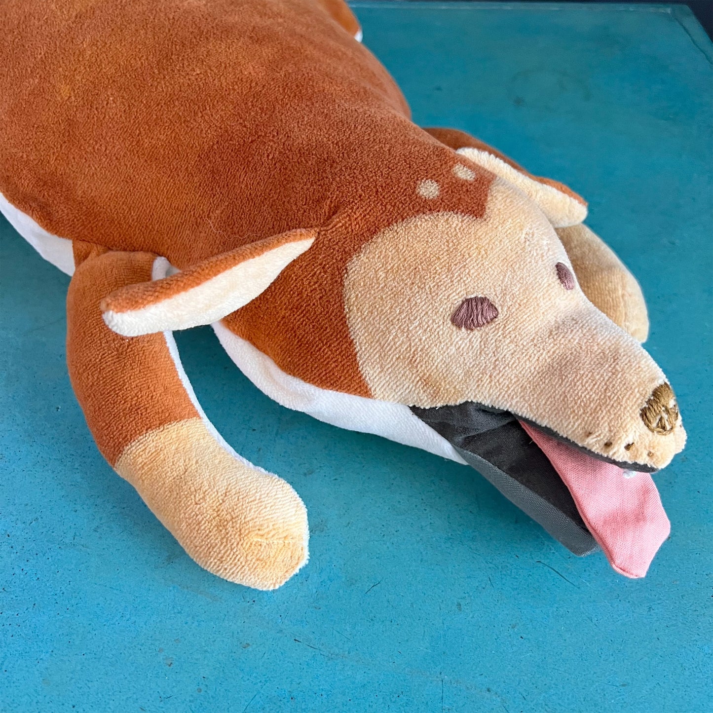 【鈴村温】犬 1