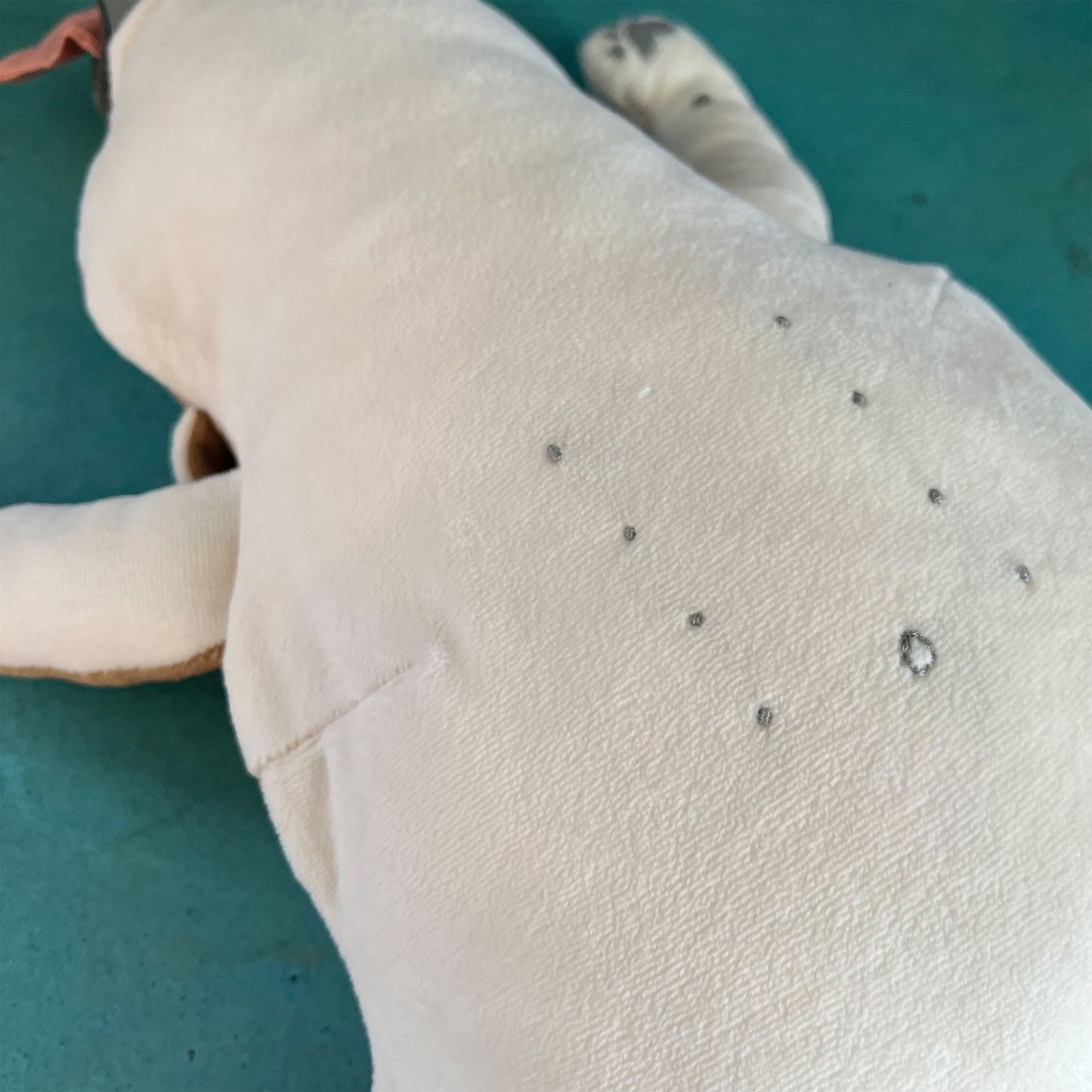 【鈴村温】犬 4