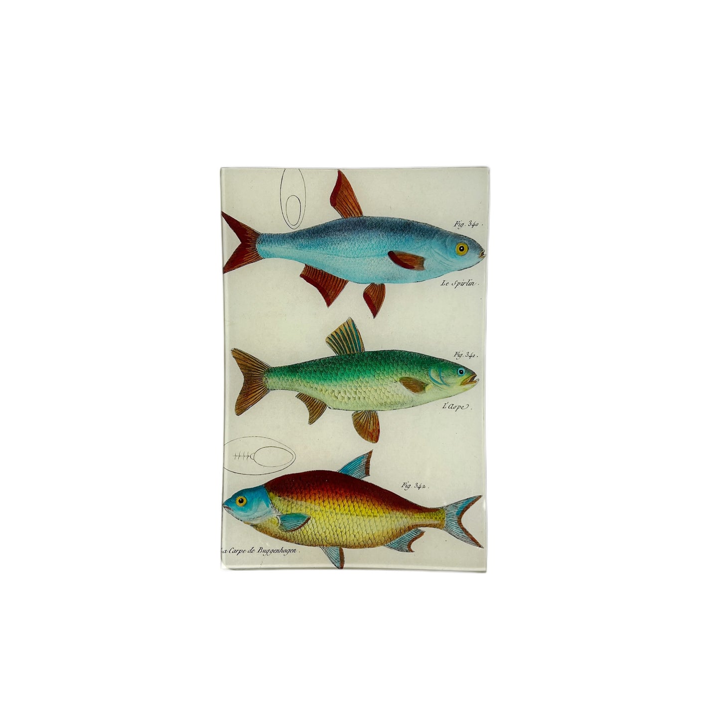 【JOHN DERIAN】デコパージュプレート 3 Fish Planche 82