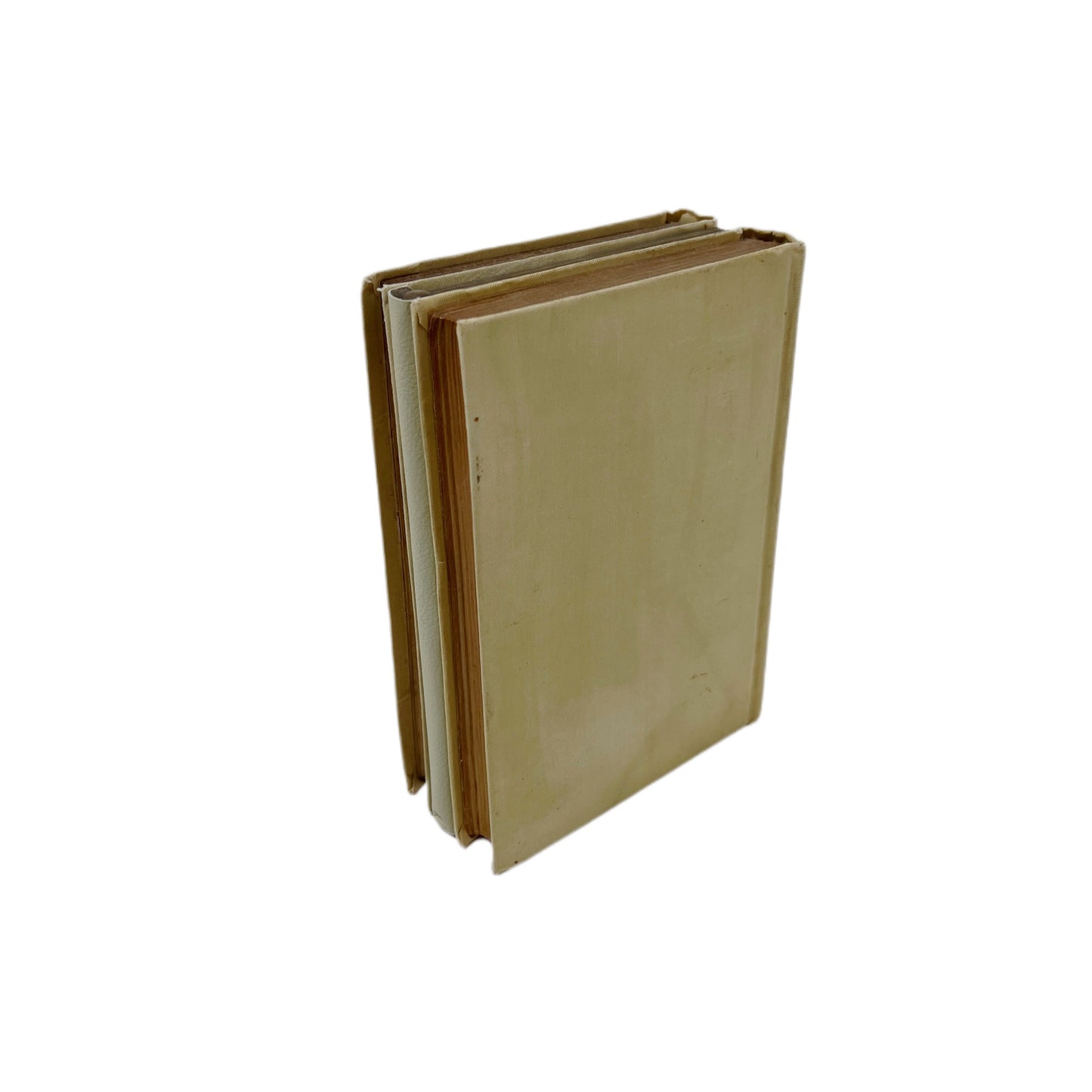 【ECOLE DE CURIOSITES】 バッグ La Bouquiniste/ブギニスト