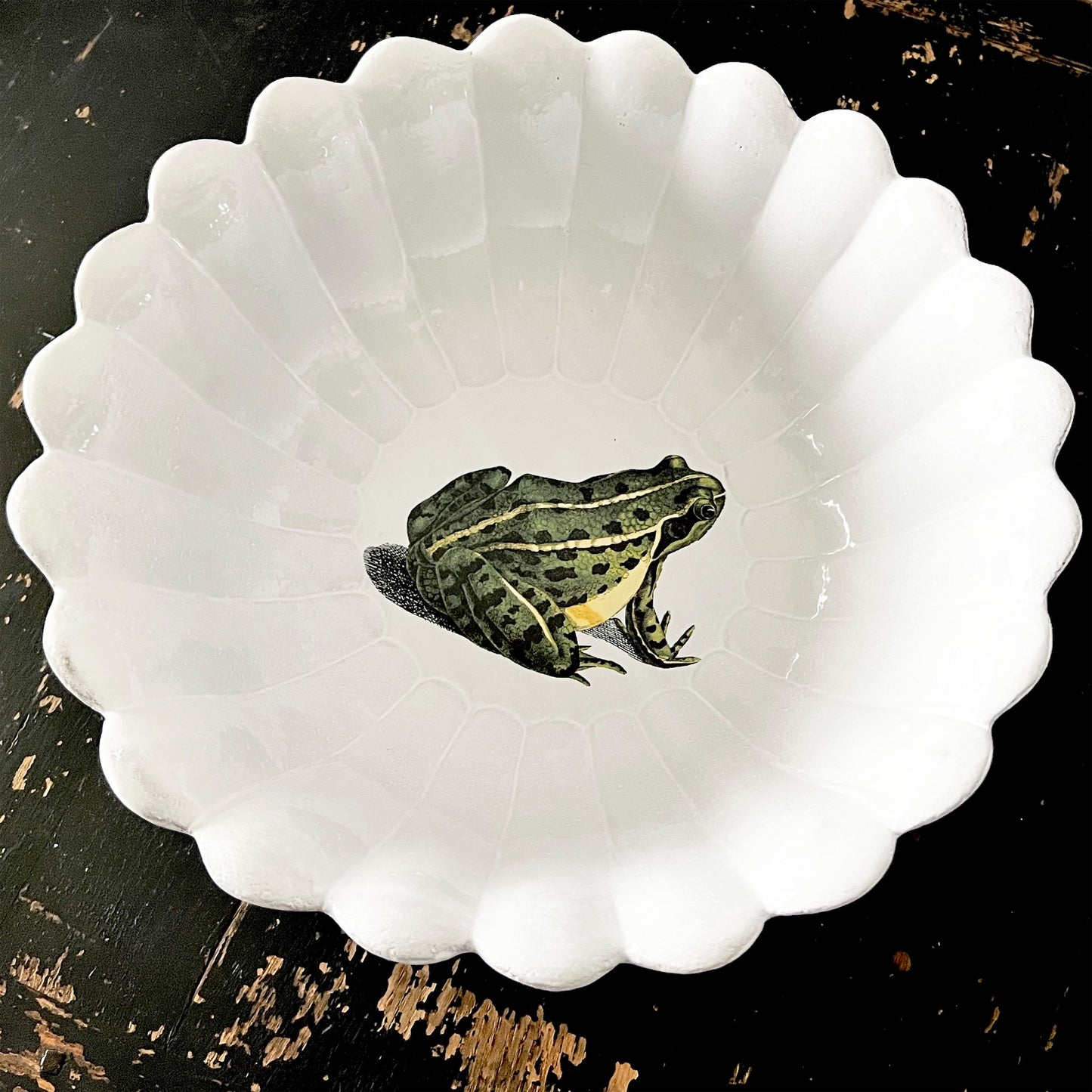 【Astier de Villatte】Sitting Frog ラージサラダボウル