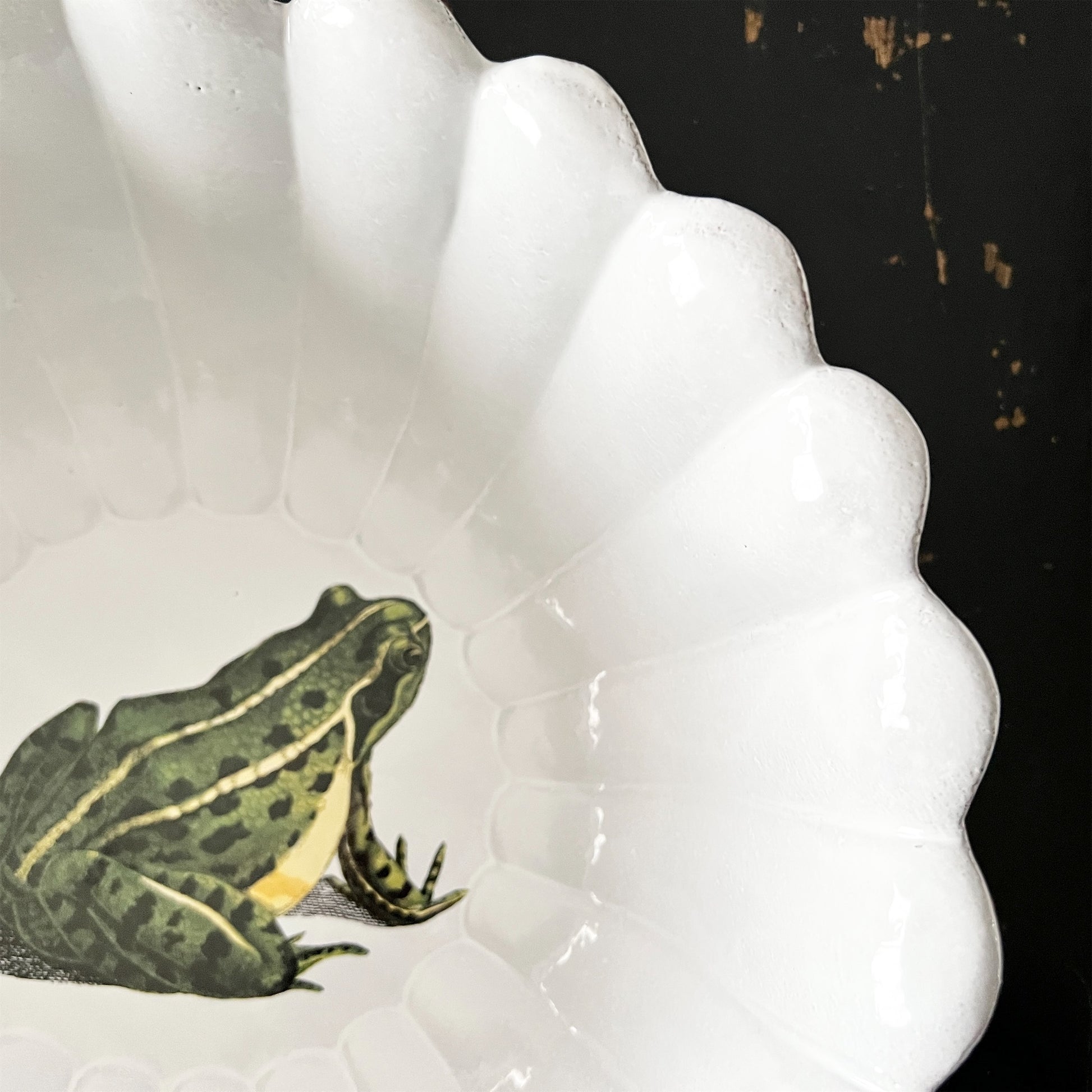 【Astier de Villatte】Sitting Frog ラージサラダボウル