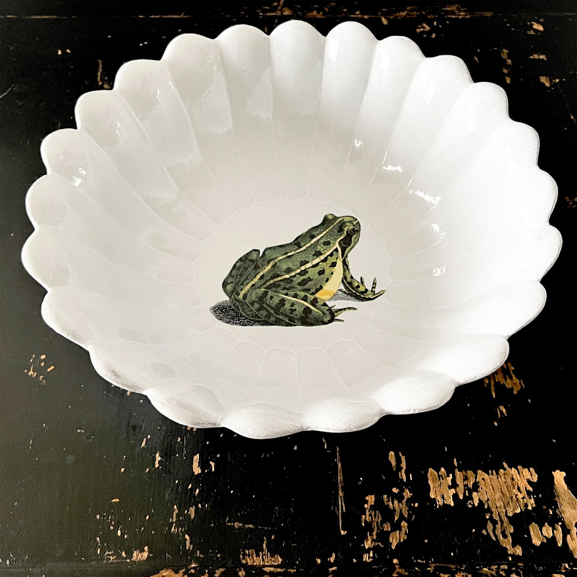【Astier de Villatte】Sitting Frog ラージサラダボウル